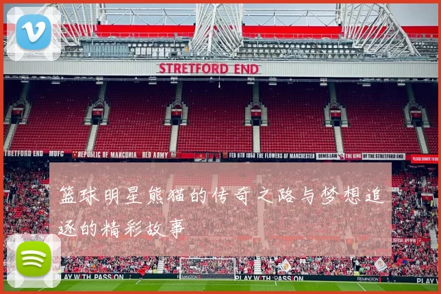 篮球明星熊猫的传奇之路与梦想追逐的精彩故事