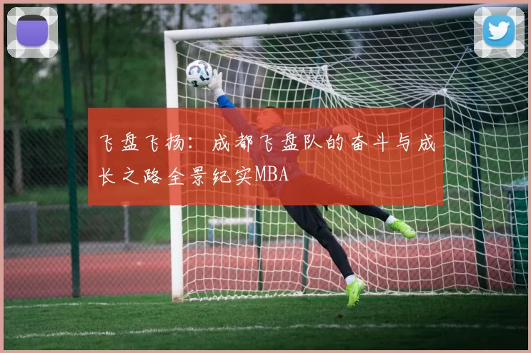 飞盘飞扬：成都飞盘队的奋斗与成长之路全景纪实MBA