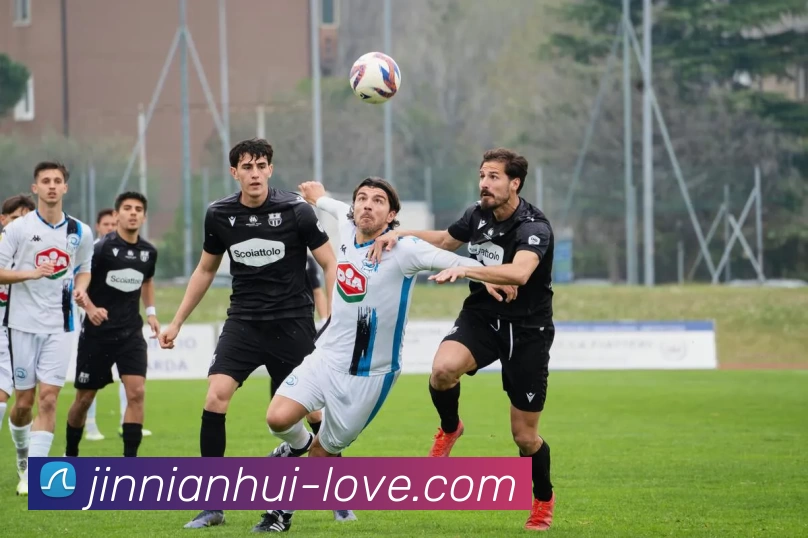 jnh今年会平台生态图